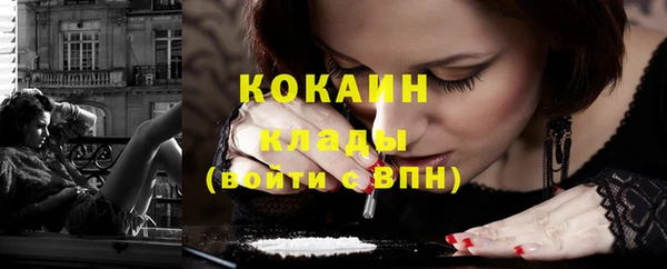 шишки Тавда