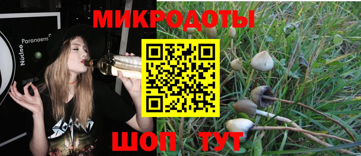 Псилоцибиновые грибы Cubensis Москва