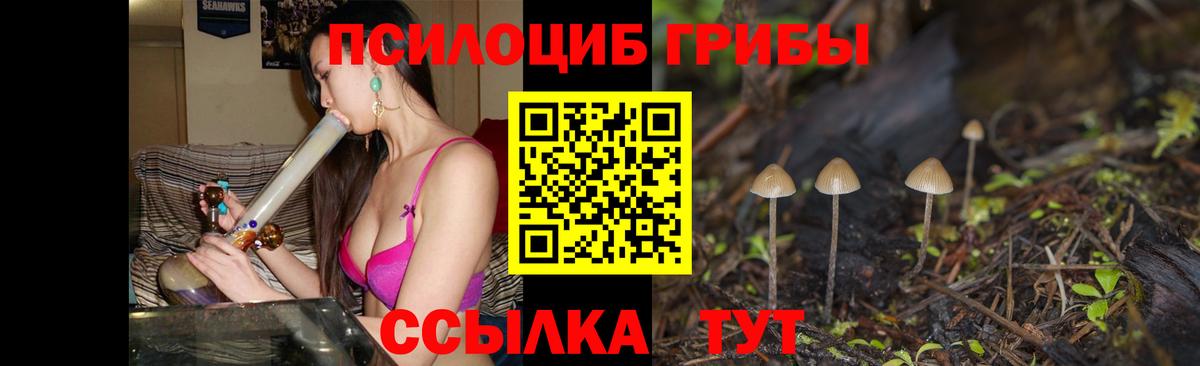 Псилоцибиновые грибы мухоморы  Вход с VPN  Москва 